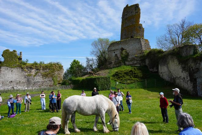 forteresse forteresse