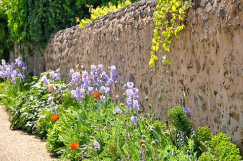 Asnières_ruelle fleurie