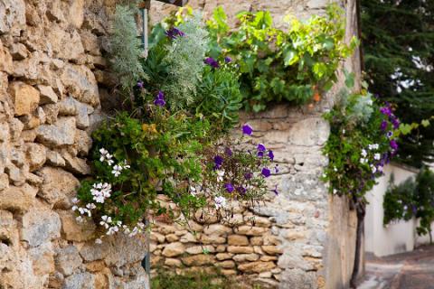 Aubigné_fleurissement des murs_© J.-P. Berlose