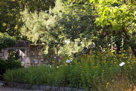 Le Coudray-Macouard_jardin botanique©J.-P. Berlose