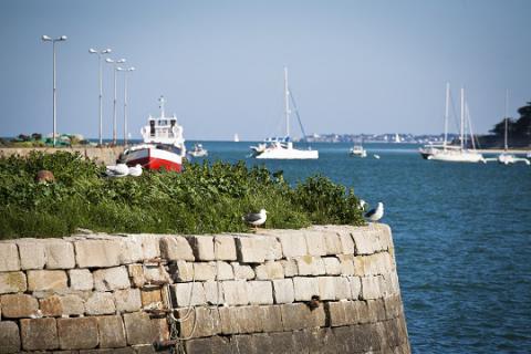 Le Croisic_vue sur mer_© J.-P. Berlose