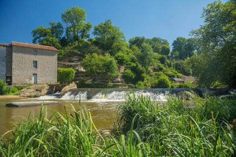 Mallièvre_vue sur la rivière©David Fougere_vendee des iles