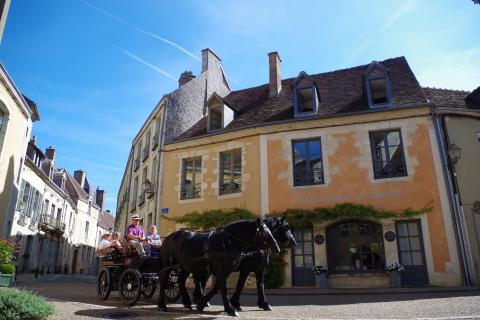 attelage_percherons©ville-de-belleme.jpg