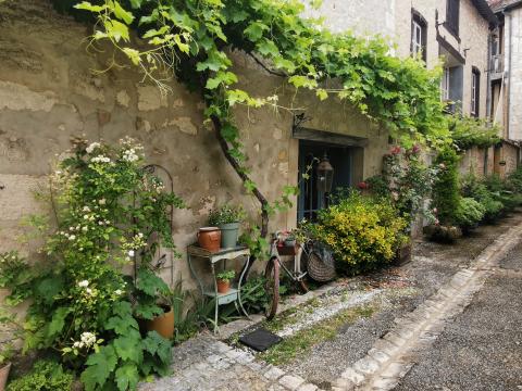 rue