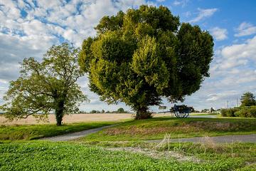 Monts-sur-Guesnes