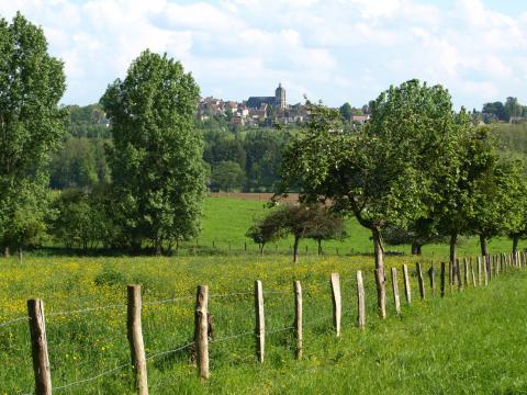 vue_de_belleme©tourisme61.jpg